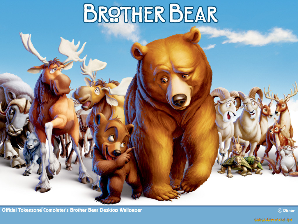 , brother, bear